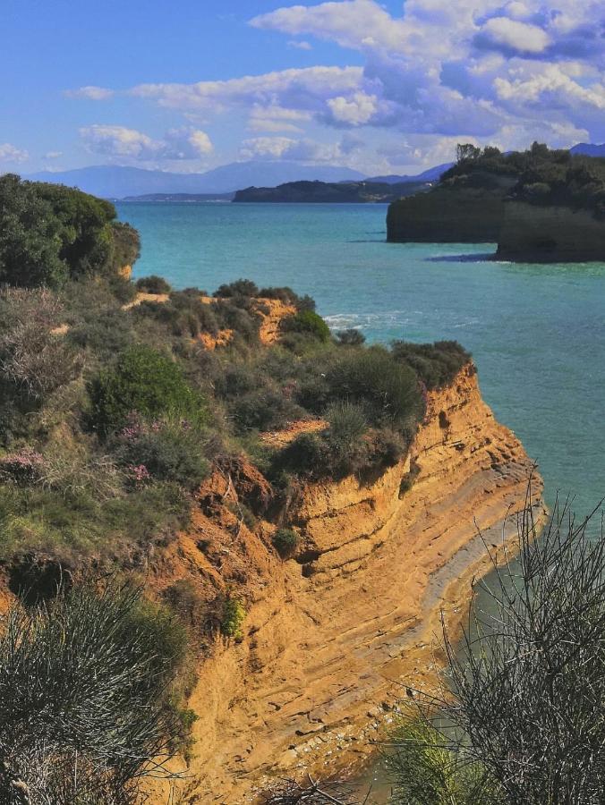 Megali Beach Nikos シダリオン エクステリア 写真